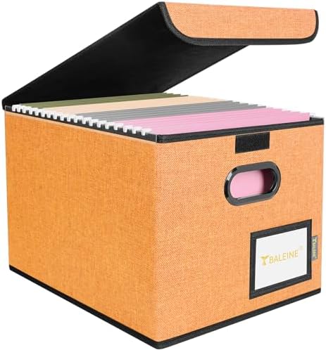 BALEINE File Organizer Box with Lid, Collapsible Hanging File Storage Box