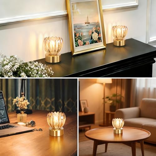 Shenmoyl Cordless Small Table Lamp with 5200mAh Battery & Touch Control, Battery Operated Tulip Table Lamp with 3 Colors, Rechargeable Mini Table Lamps for Bedsides, Bedroom, Nightstand (Amber)