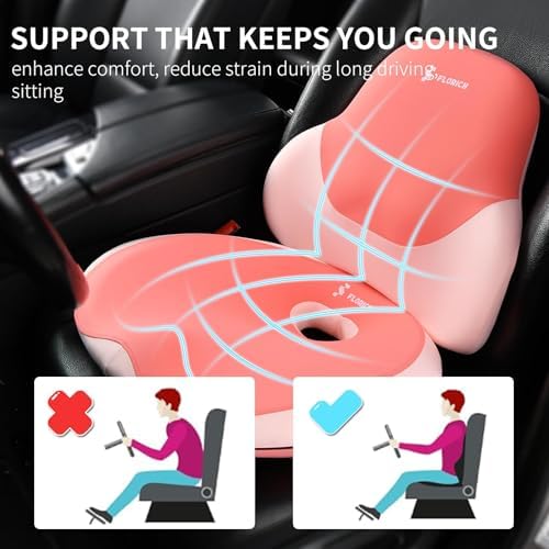 FLORICH Seat Cushion Lumbar Support Pillow for Office Chair, Car Lower Back Support, Ergonomic Desk Chair Pillow for Butt and Back Support of Memory Foam Seat Pad(Blue Pink)