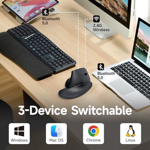 SANWA Wireless Ergonomic Mouse for Large Hands with Wrist Rest, Black
