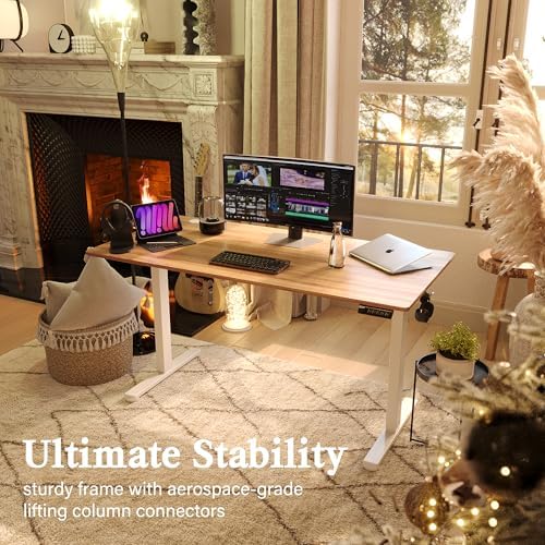 Monomi Electric Standing Desk 55"x24"Height Adjustable Sit Stand Desk
