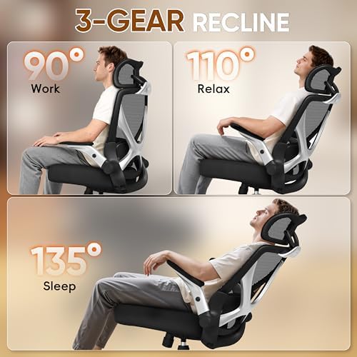 GABRYLLY Ergonomic Office Chair with Headrest, High Back Desk Chair with Flip-Up Arms, Adjustable Lumbar Support, Padded Cushion Computer Chair with 3-Stage Tilt Lock for Home Office Gaming Study