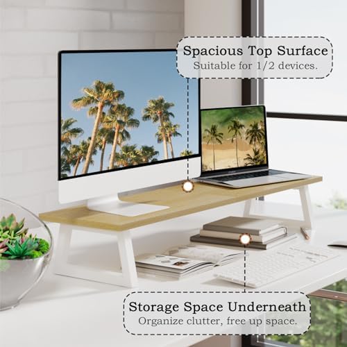 TEAMIX 31.5 inch Dual Monitor Stand Riser, Laptop/TV Stand, Desk Organizer