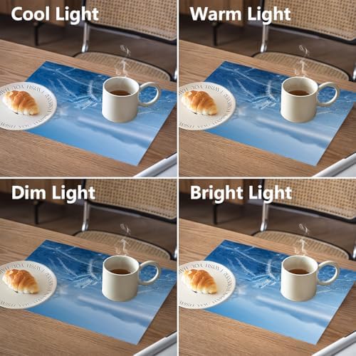 Frost Blue Spider Linen Placemats, On Cold Lake Table Mats for Table Washable Heat Insulation Thick Dining Mat, Indoor/Outdoor 12X18 in 4 Pcs