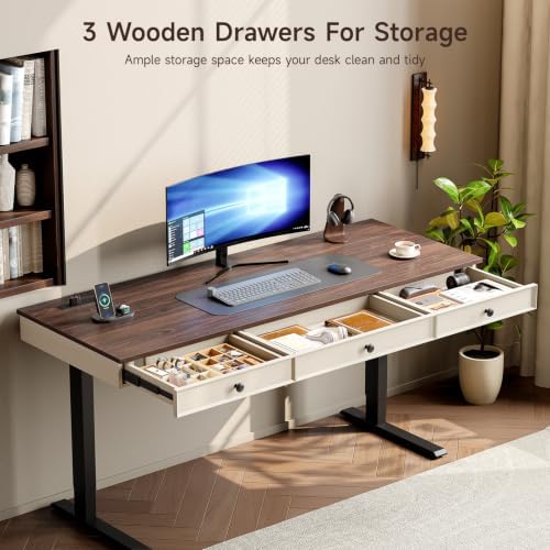ONBRILL 55" Electric Standing Desk with 3 Drawers, Home Office Desk, Walnut