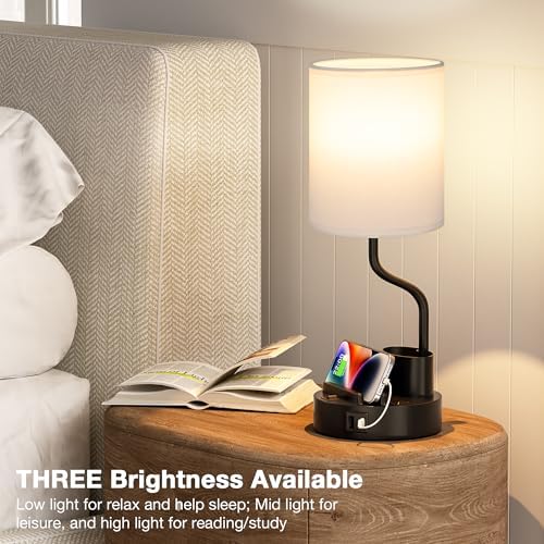 Fenmzee Bedside Lamps for Bedroom Set of 2 - Table Desk Lamp for Nightstand