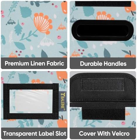 BALEINE File Organizer Box with Lid, Collapsible Hanging File Storage Box