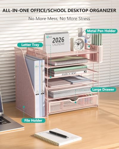 WALI Desk File Organizer, 6 Tier Desktop Paper Letter Tray Organizer with Drawer and 2 Pen Holders, Office Desk Accessories & Workspace Organizers for Office, Home Supplies(DO007DH-P), 1 Pack, Pink
