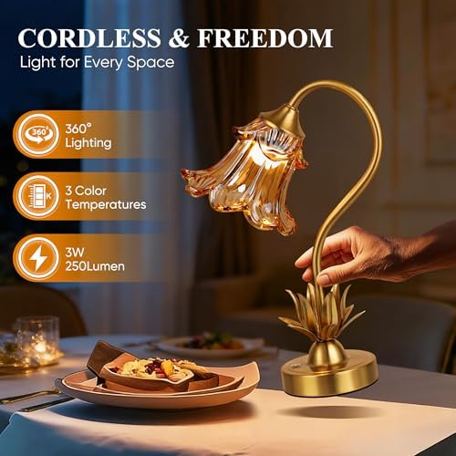 PARTPHONER Cordless Flower Table Lamp with Glass Lampshade, 5000mAh Rechargeable Battery, 3-Color Dimmable Touch Control, Portable Desk Lamp for Nightstand, Patio, Camping, Restaurant & Home, Amber