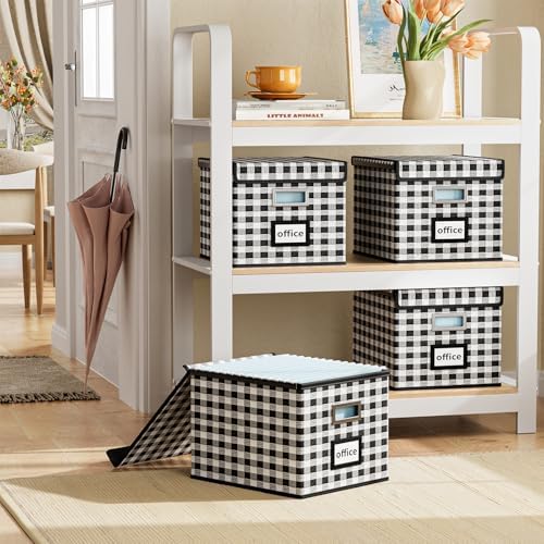 File Organizer Box with Lids, Collapsible File Folder Organizer