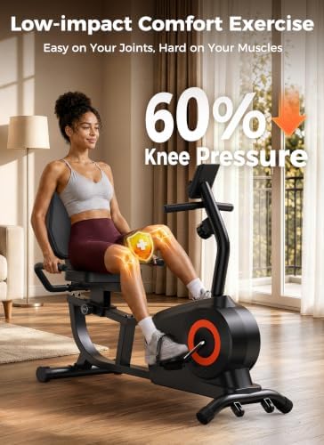 YOSUDA Recumbent Exercise Bike for Home，Magnetic Staionary Bike for Seniors