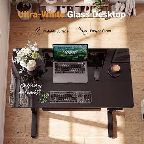 YDN Glass Standing Desk with Drawers 48x24 Inch Black