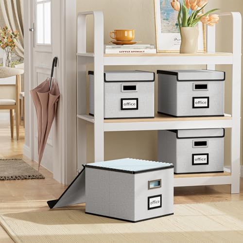 File Organizer Box with Lids, Collapsible File Folder Organizer