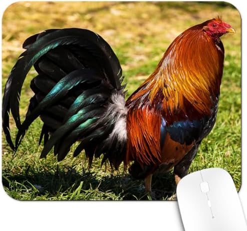 9.5x7.9 Inch Office/Gaming Mouse Pad, Vibrant Rooster with Iridescent Feather in Grass Colorful Farm Animal, Cute Anti-Slip Mat for Desk Decor
