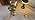 LED Portable Cordless Rechargeable Table Lamp,Gold