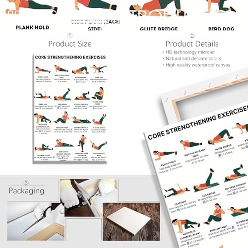 Core Strengthening Workout Poster, 16 Illustrated Abdominal Training Chart with Timing & Rep Guides, Bodyweight Abs & Obliques Exercise Reference for Home Gym Beginner Core Stability Fitness Routine(12x18inchs，Wrapped Framed)