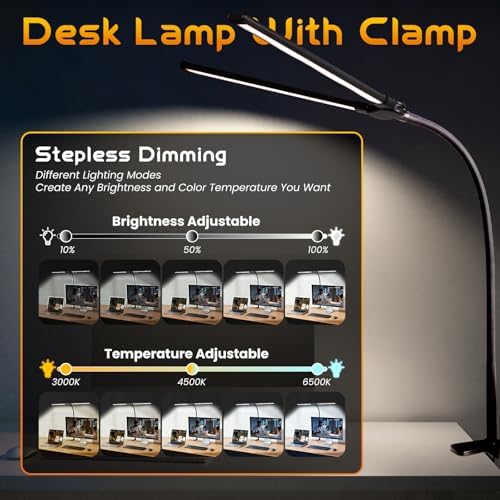 LED Desk Lamp for Office Dorm Home, No Assembly Required