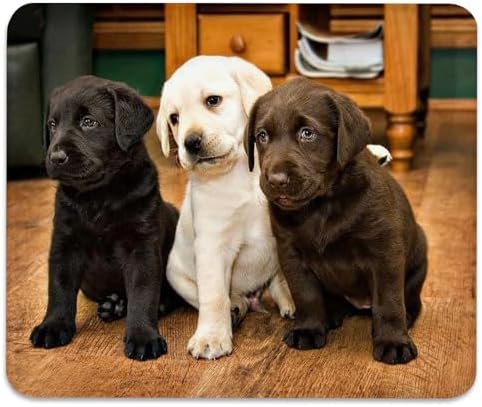 Adorable Labrador Puppies Mouse Pad, White Black and Brown Dogs Desk Mat