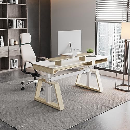 EUREKA ERGONOMIC Electric Standing Desk with Dual Drawers,63 Inches Height Adjustable L-Shaped Office Desk,Sit Stand Desk Ergonomic Executive Desk Computer Workstations with Monitor Stand,Left/White