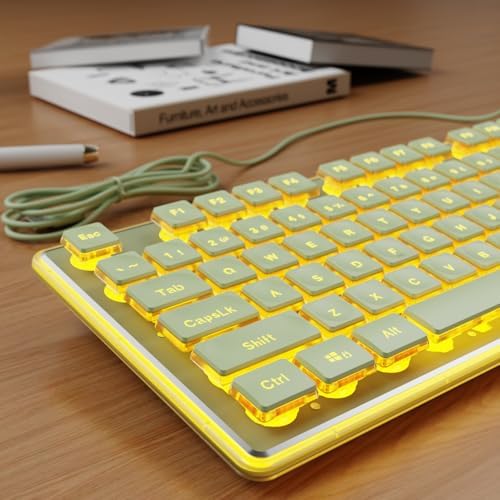 Wired Keyboard with Warm Backlight Pudding Keycaps, Full Size, Green