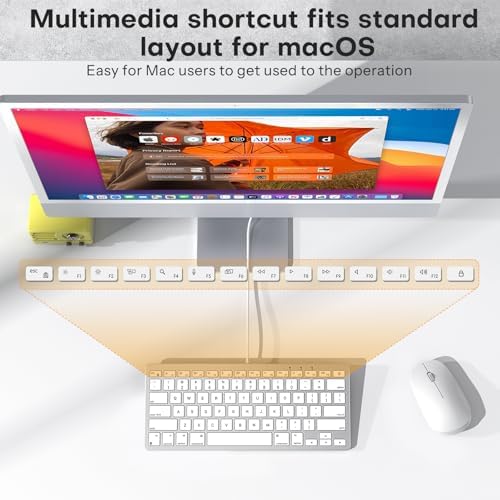Emetok Wired Keyboard for Mac Users, 1 Cable 2 Plugs USB-C & USB-A, Silver