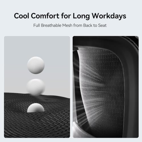 SIHOO B100 SE Office Chair, Desk Chair with Adaptive Lumbar Support & 2D Flip-up Armrests, 135° tilt Soft Memory Foam Erogonomic Chair for Home Office,Hold 300 LBS, 2 Packs, Jet Black
