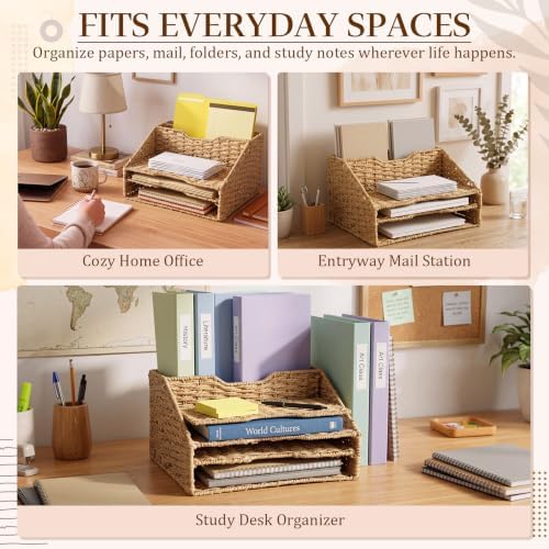 RattanView Desk File Organizer, Woven Mail Organizer Countertop, Paper Rope