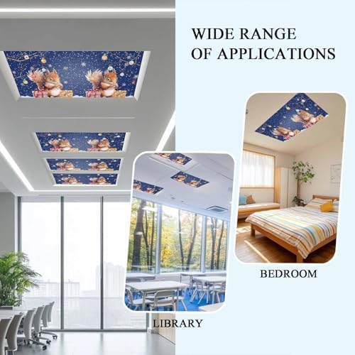 2 Pcs Fluorescent Light Covers for Ceiling Lights,Christmas Squirrel Winter Snowflake,Magnetic Light Filters Drop Fluorescent Lights Shade for Office Xmas Ball Dark Blue