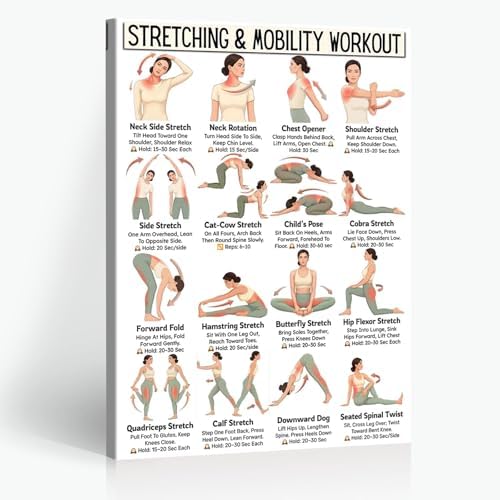 Stretching & Mobility Workout Poster, 16 Illustrated Full-Body Flexibility Training Chart with Hold Time Guides, Bodyweight Neck Hip Shoulder Stretch Reference for Post-Workout Recovery & Daily Mobility Improvement(12x18inchs，Wrapped Framed)