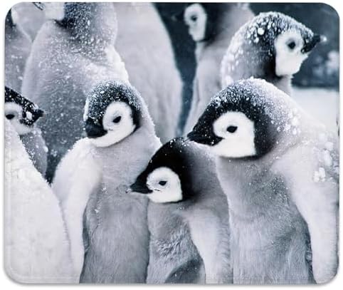 Group of Emperor Penguin Chicks in the Snow Mouse Pad, Durable Desk Mat