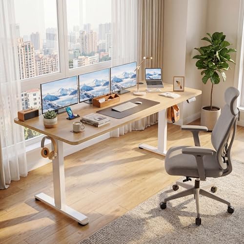 63'' × 24'' Height Adjustable Electric Standing Desk with Wheels