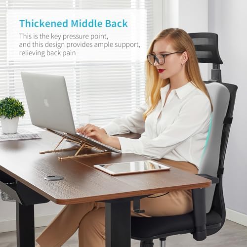 Lumbar Support Pillow for Office Chair, Back Cushion for Full Back Support