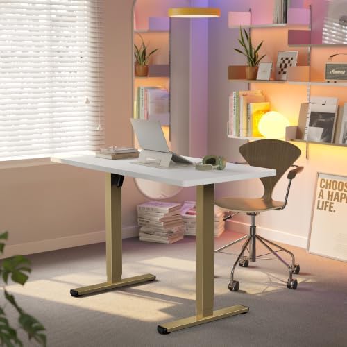 HUANUO 48x24 Inch Electric Standing Desk, Height Adjustable