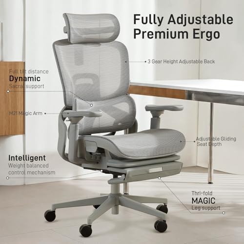 FLOW360 Ergonomic Mesh Office Chair with Footrest, Big&Tall Chair Gray MS