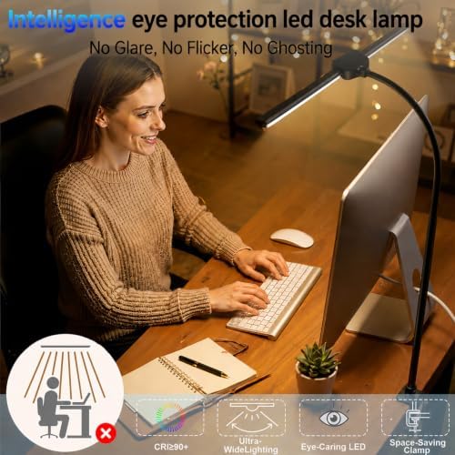 Desk Lamps for Home Office, Computer Light Bar, Double Head, Black