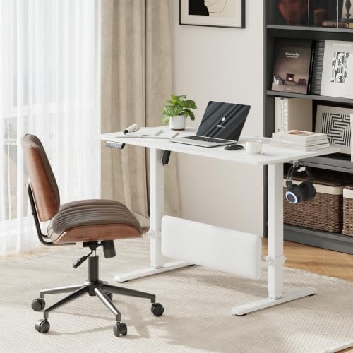 MALOL 47" x 24" Height Adjustable Electric Standing Desk, White