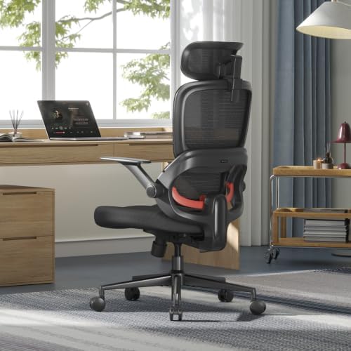 SIHOO B100 SE Ergonomic Office Chair, Desk Chair with Lumbar Support