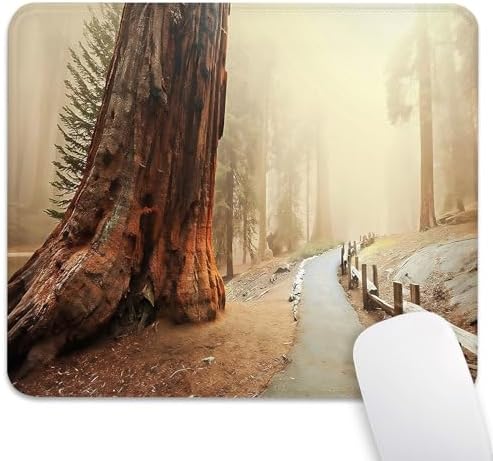Ancient Giant Sequoia Tree in Misty Mouse Pad, Redwood Forest Desk Mat