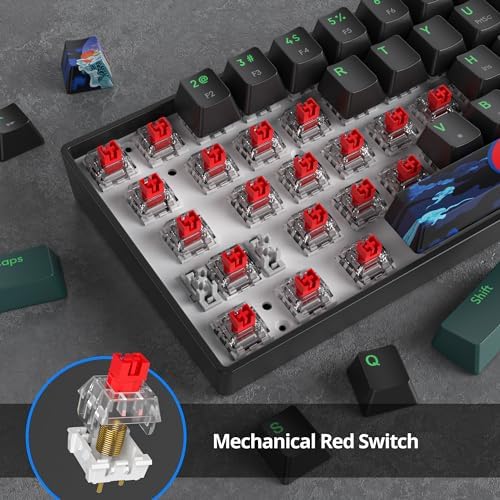 Owpkeenthy 60% Wired Mechanical Keyboard
