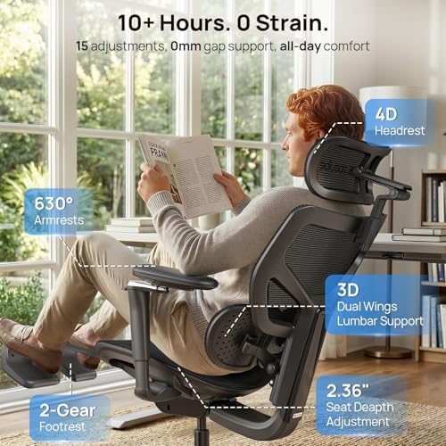 Ergonomic Mesh Office Chair - 10 Hours Comfort Dual Lumbar Support, 330lbs