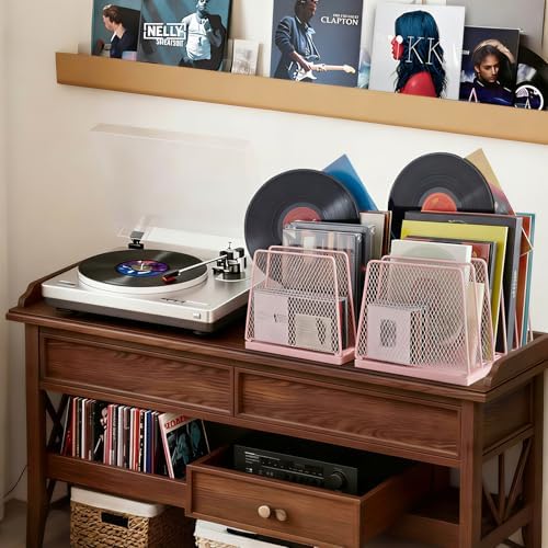 LEKETREE Small Desk File Organizer, 5-Section Upright File Sorter, Vertical File Folder Holder, Mesh Metal Wood Office Desktop Organization for Document, Magazine, Books and more (Pink)