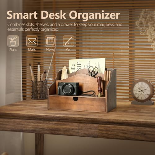 Rebee Vision Mail Organizer for Desk with 4-Slot Letter Home Decor, Brown