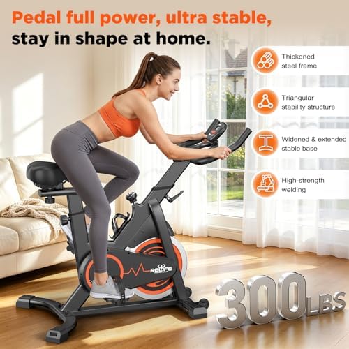 RELIFE REBUILD YOUR LIFE Exercise Bike, Friction Stationary Bike for Home