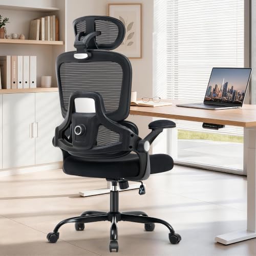 Office Chair with Adjustable Lumbar Support, Ergonomic Desk Chairs, Black