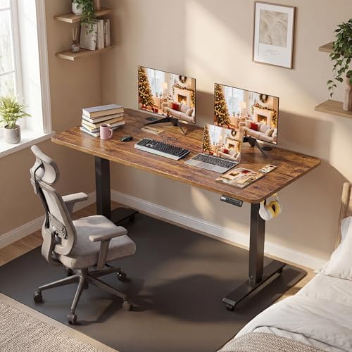 55'' × 24'' Height Adjustable Electric Standing Desk with Wheels
