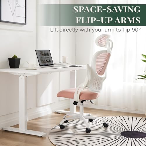 Computer Chair, Mesh Office Desk Chair with Lumbar Support