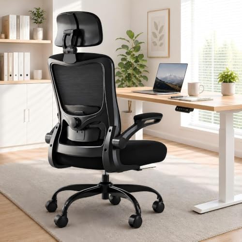 Ergonomic Office Chair for Long Hours, Adjustable Padded Lumbar Support for Lower Back Relief, 330 lb Capacity, Comfortable Computer Desk Chair for Home Office, Work & Study, Black/Black