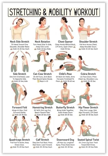 Stretching & Mobility Workout Poster, 16 Illustrated Full-Body Flexibility Training Chart with Hold Time Guides, Bodyweight Neck Hip Shoulder Stretch Reference for Post-Workout Recovery & Daily Mobility Improvement(12x18inchs，Unframed)