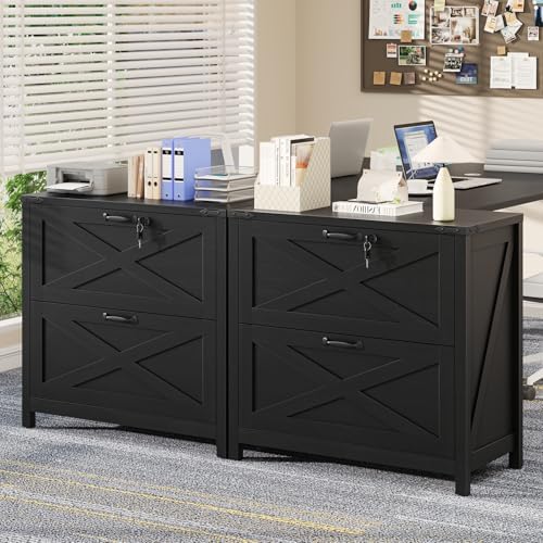 Halitaa Farmhouse Lateral File Cabinet with 2 Drawers, Rustic Black
