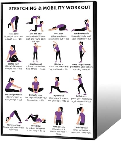 Stretching & Mobility Workout Poster, 16 Illustrated Full-Body Flexibility Chart with Timed Hold Guides, Bodyweight Daily Stretch Reference for Desk Soreness & Post-Workout Joint Recovery(24x36inchs，Black Framed)